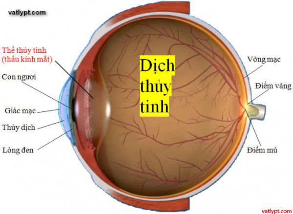 Cấu tạo quang học của mắt, các tật của mắt và cách khắc phục, vật lí lớp 11