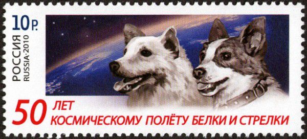 Laika chú chó đầu tiên bay vào vũ trụ