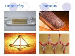 Tính chất của photpho, hóa học phổ thông